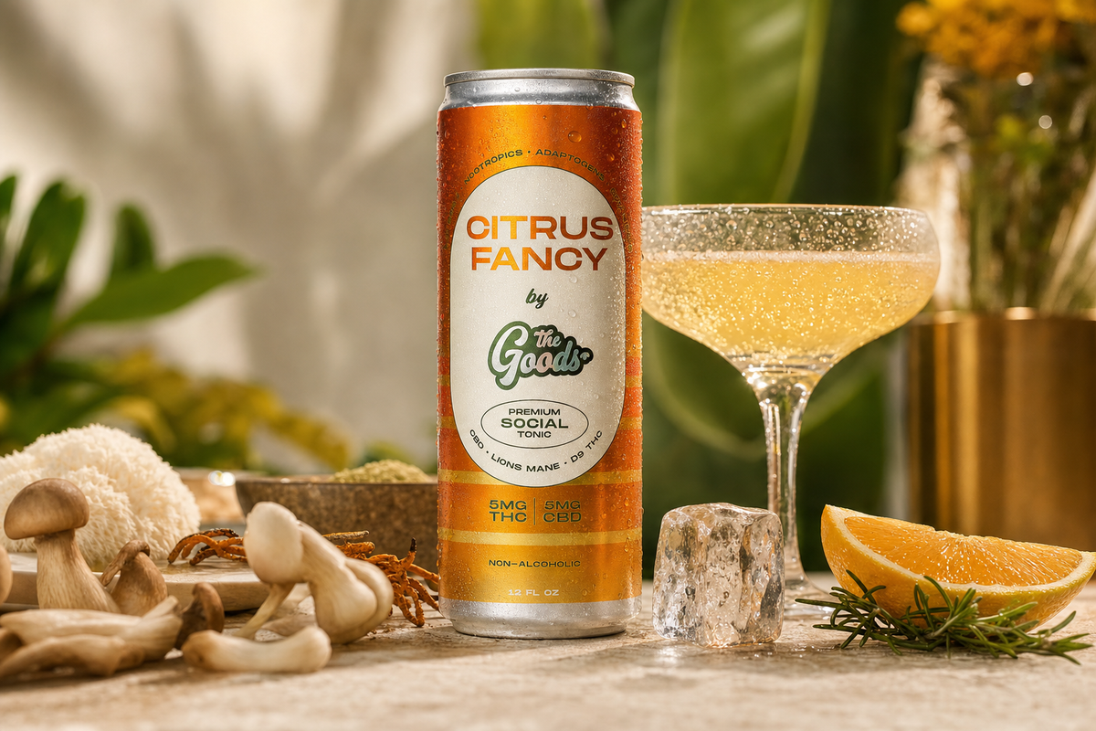 Citrus Fancy social tonic can labeled 5mg THC and 5mg CBD beside a coupe cocktail, mushrooms, ice, and orange.