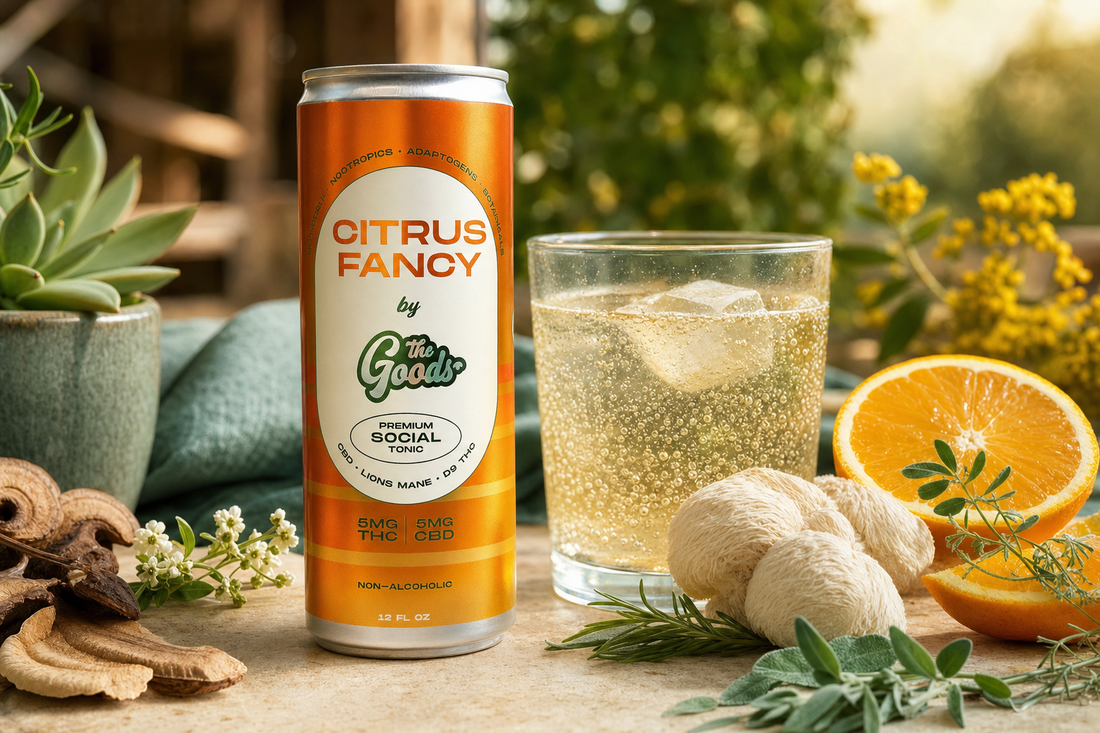Orange "Citrus Fancy" THC social tonic can beside a fizzy glass, orange half, lion's mane mushrooms and herbs.