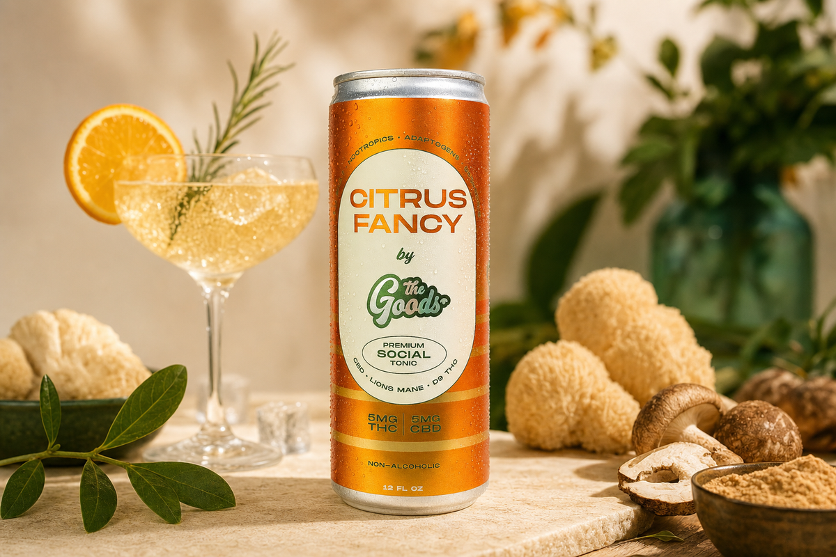 Citrus Fancy social tonic can beside a coupe cocktail, orange slice, lion's mane mushrooms, and greenery.