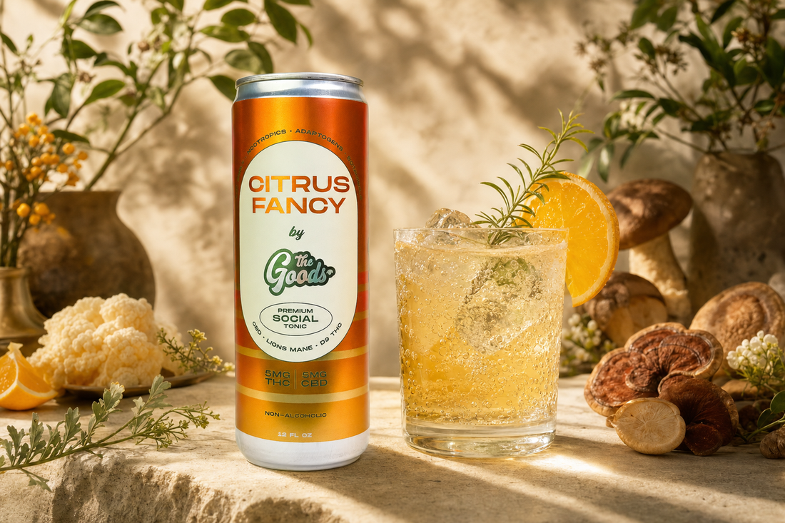 Citrus Fancy THC-CBD social tonic can beside a fizzy iced drink garnished with orange and rosemary, amid mushrooms and greenery.