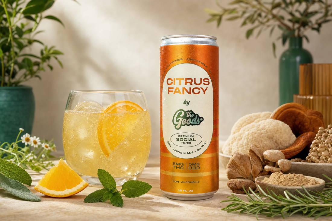 Citrus Fancy THC/CBD social tonic can beside a citrus drink, orange slices, mint, herbs, and medicinal mushrooms.