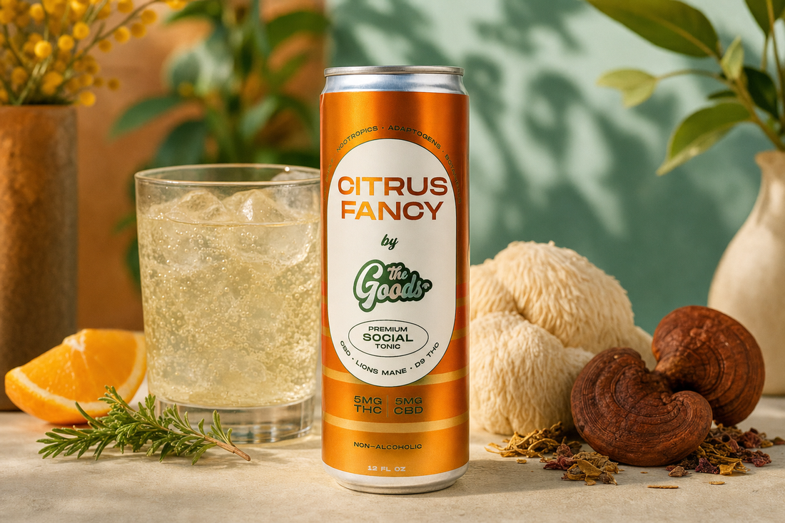 Orange "Citrus Fancy" THC social tonic can beside an iced drink, lion's mane and reishi mushrooms, and orange slice.