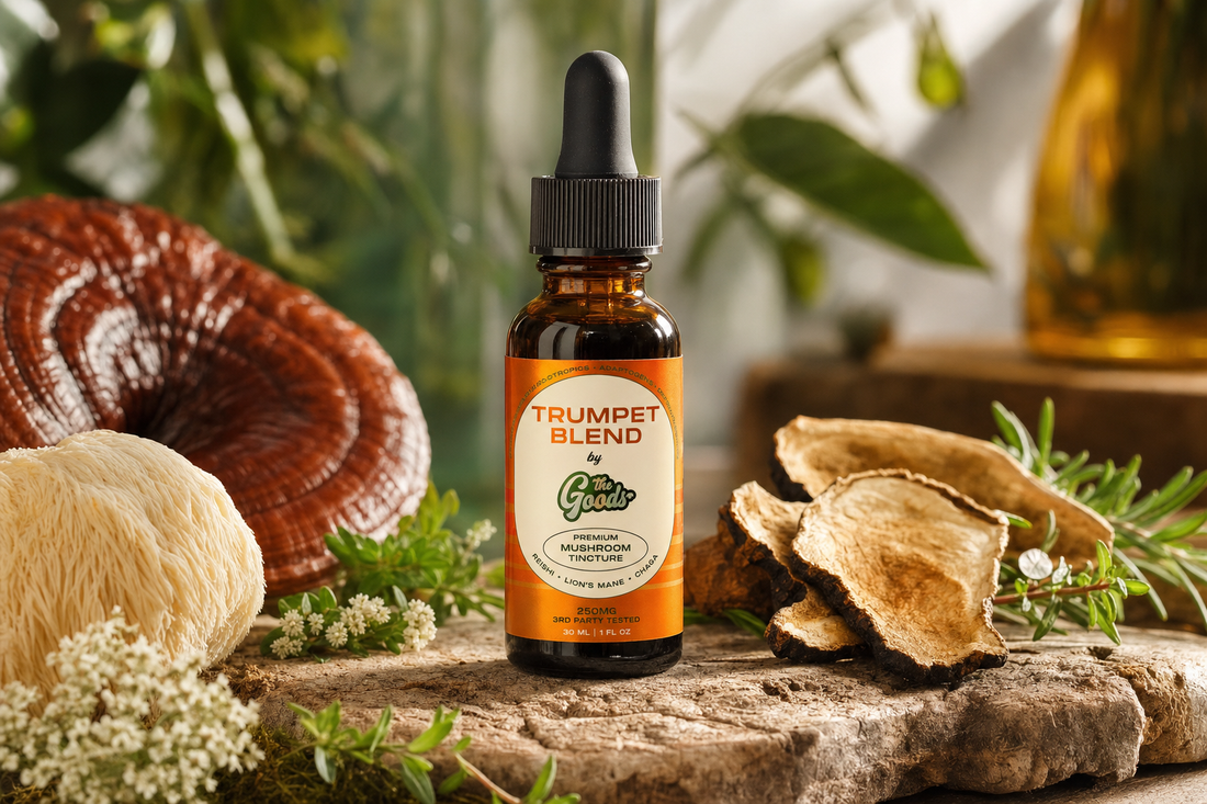 Amber dropper bottle of Trumpet Blend mushroom tincture on stone, surrounded by reishi, lion's mane, and dried mushrooms.