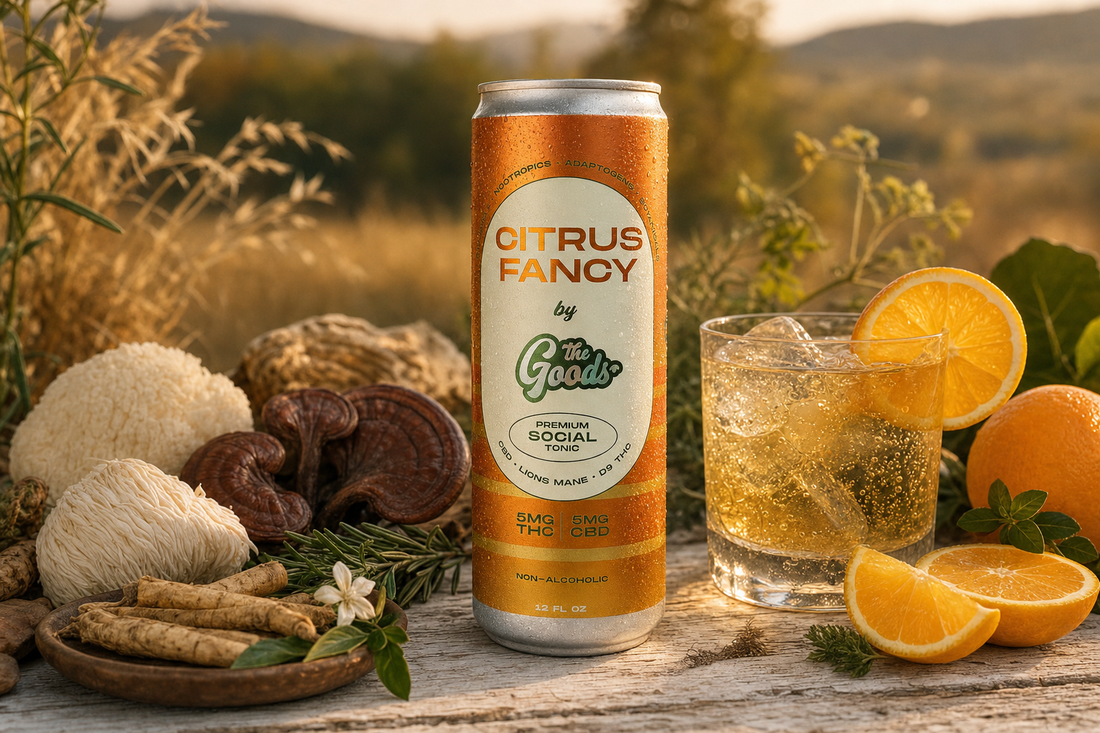 Citrus Fancy THC social tonic can beside a glass of iced drink, oranges, and mushrooms on a rustic table.