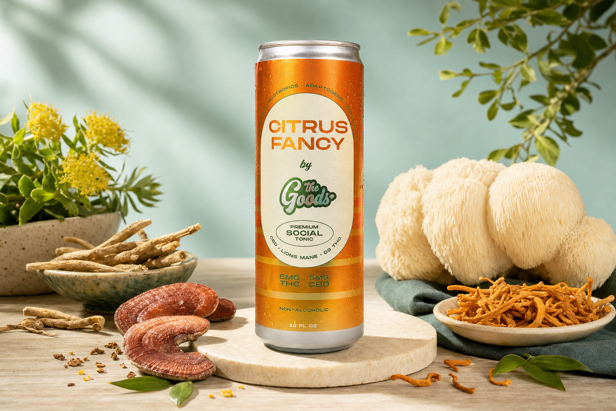 Orange Citrus Fancy tonic can with 5mg THC/CBD surrounded by lion's mane mushrooms, roots, and herbs.