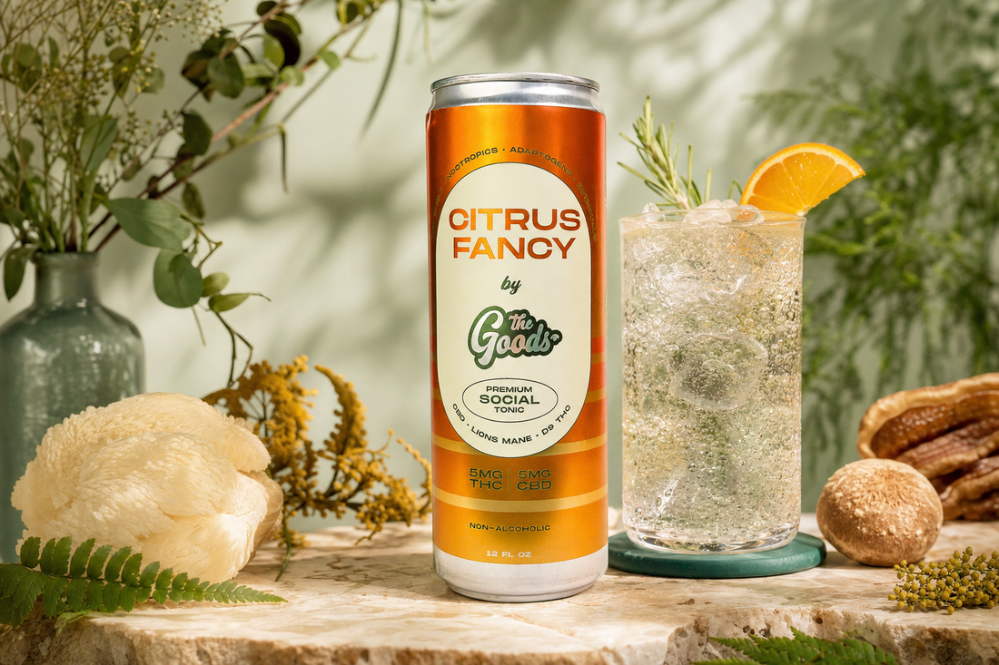 Orange Citrus Fancy THC/CBD social tonic can beside a fizzy iced drink garnished with orange and rosemary, amid mushrooms and greenery.