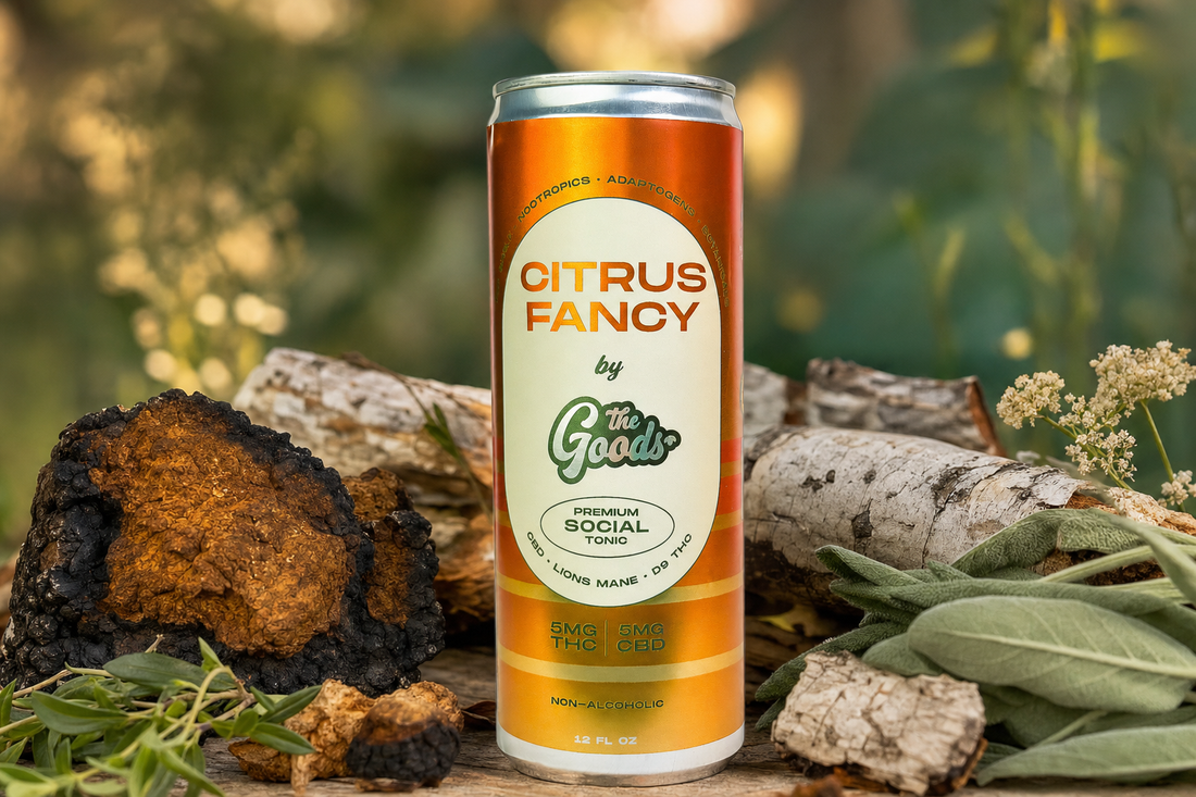 Citrus Fancy social tonic can with 5mg THC and CBD, surrounded by chaga mushroom, birch logs, and herbs.