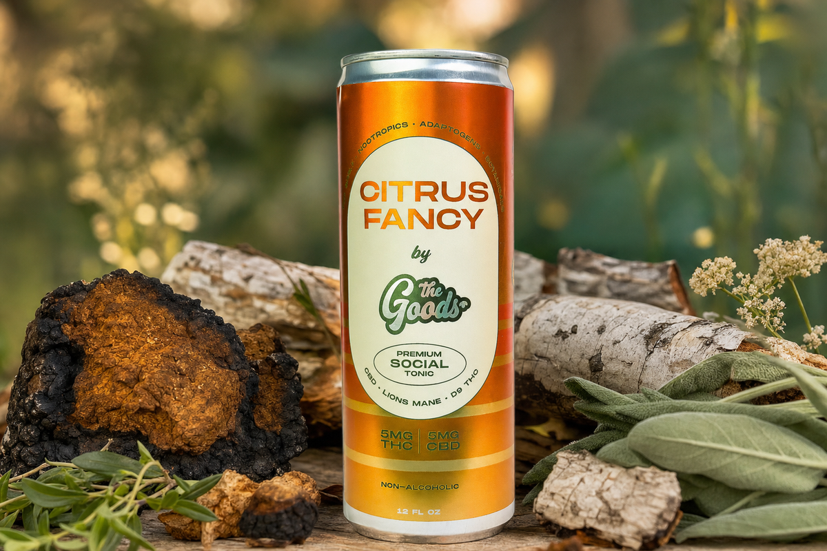 Citrus Fancy social tonic can with 5mg THC and CBD, surrounded by chaga mushroom, birch logs, and herbs.