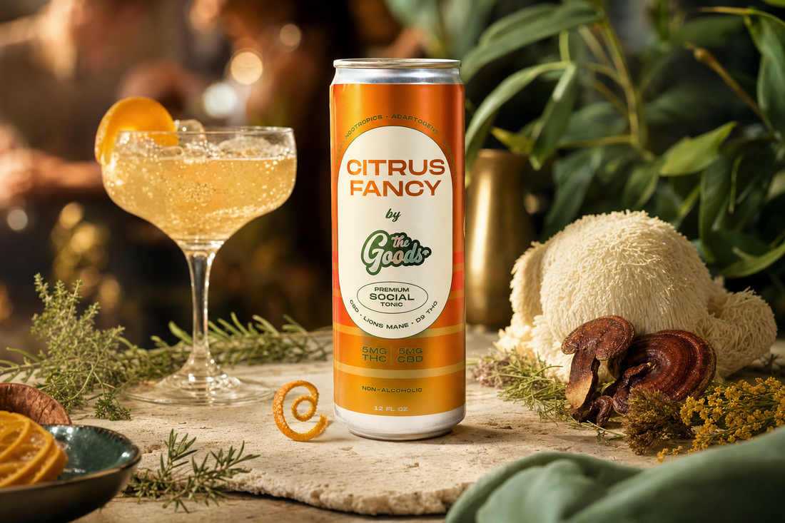 Orange Citrus Fancy THC-CBD social tonic can beside a cocktail, lion's mane and reishi mushrooms, and herbs.
