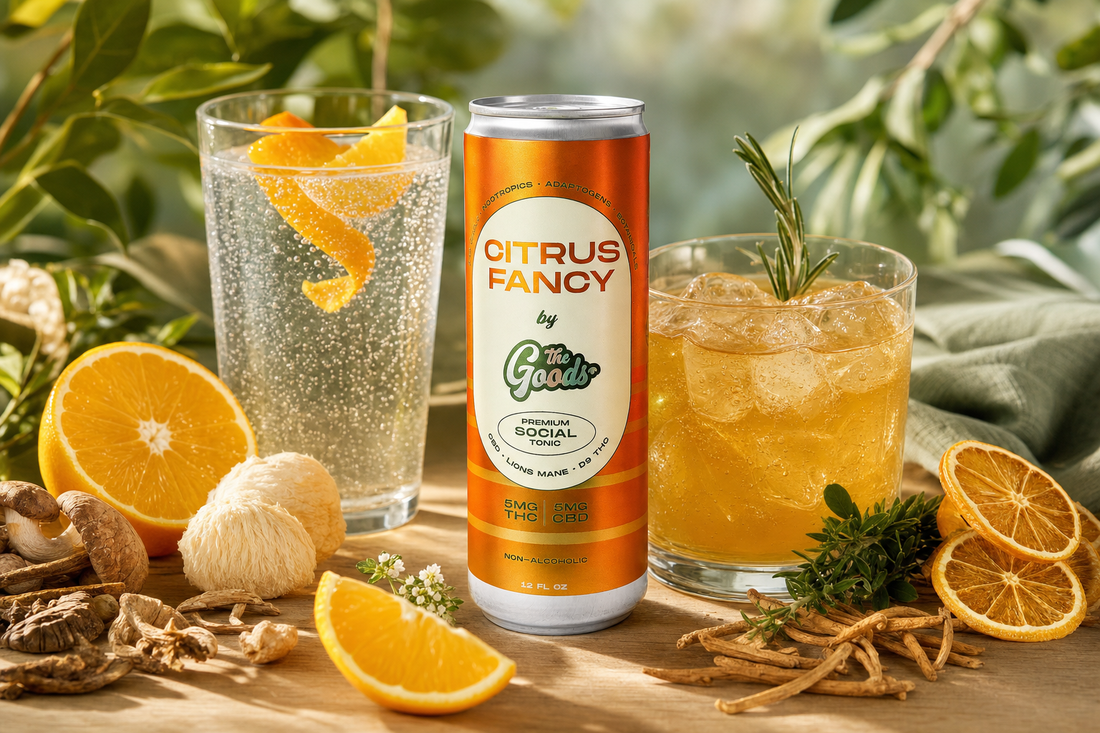 Orange "Citrus Fancy" THC social tonic can between two drinks, surrounded by oranges, mushrooms, and herbs.