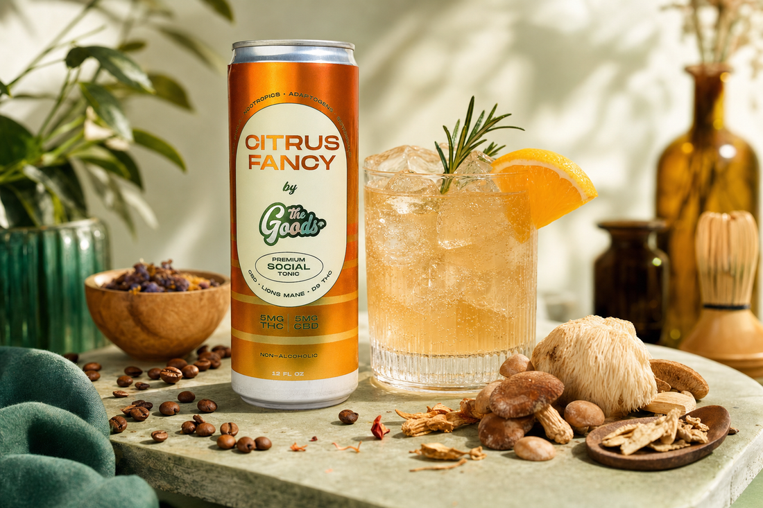 Citrus Fancy THC-CBD tonic can beside an iced drink garnished with orange and rosemary, with coffee beans and mushrooms.
