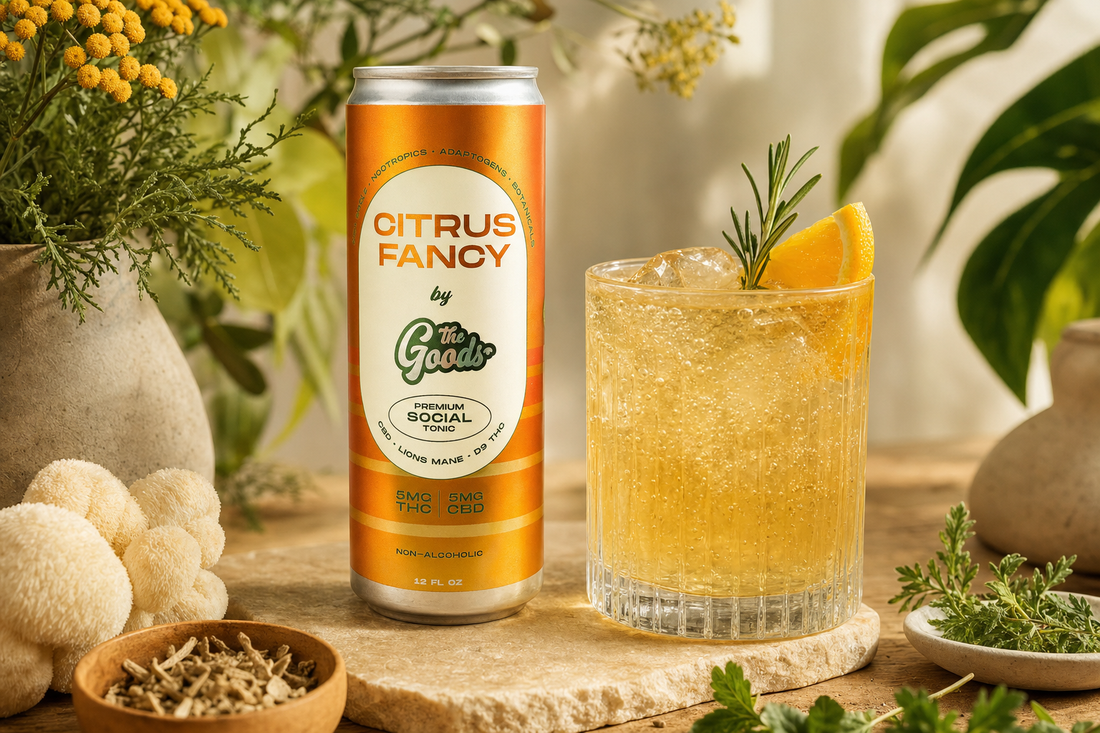 Citrus Fancy THC/CBD social tonic can beside a garnished glass of iced drink amid herbs and mushrooms.
