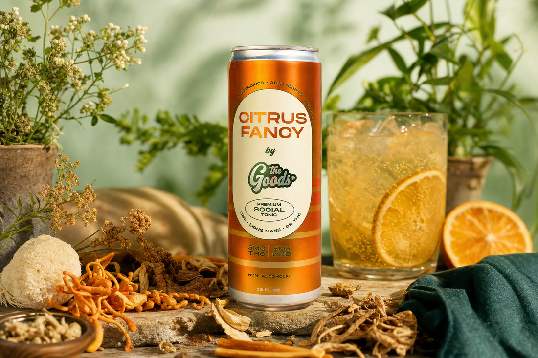 Orange "Citrus Fancy" social tonic can beside iced drink, dried mushrooms, lion's mane, and plants.