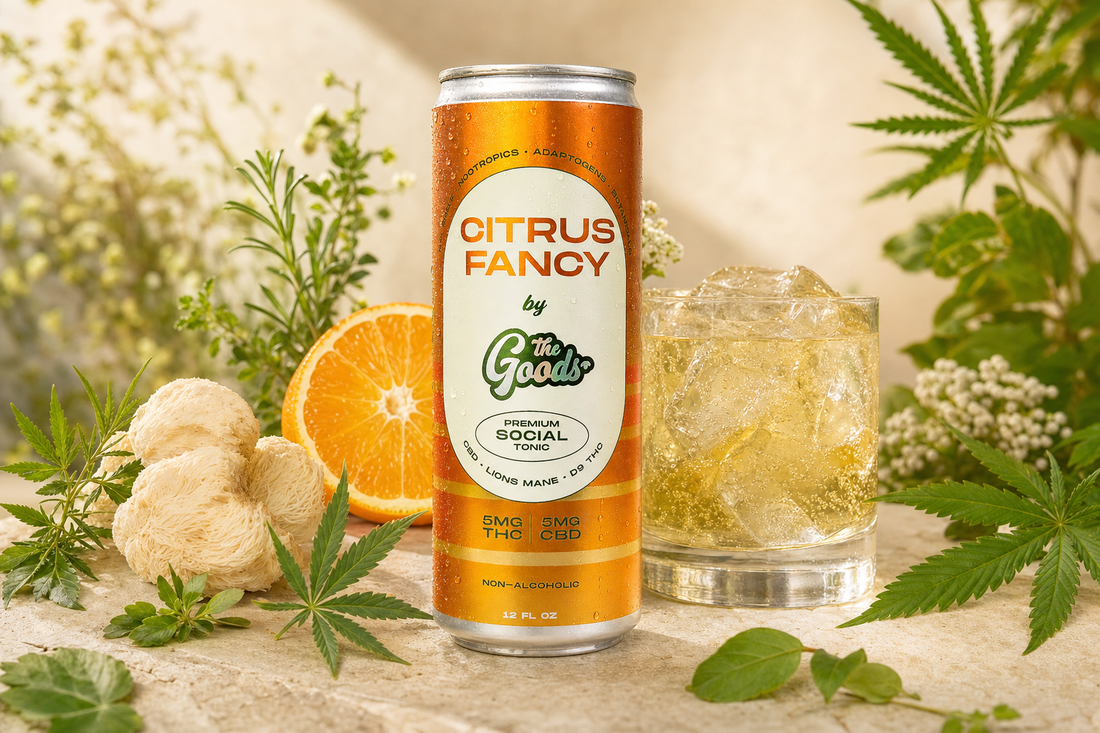 Orange "Citrus Fancy" THC/CBD tonic can beside an iced drink, orange slice, lion's mane mushroom, and cannabis leaves.