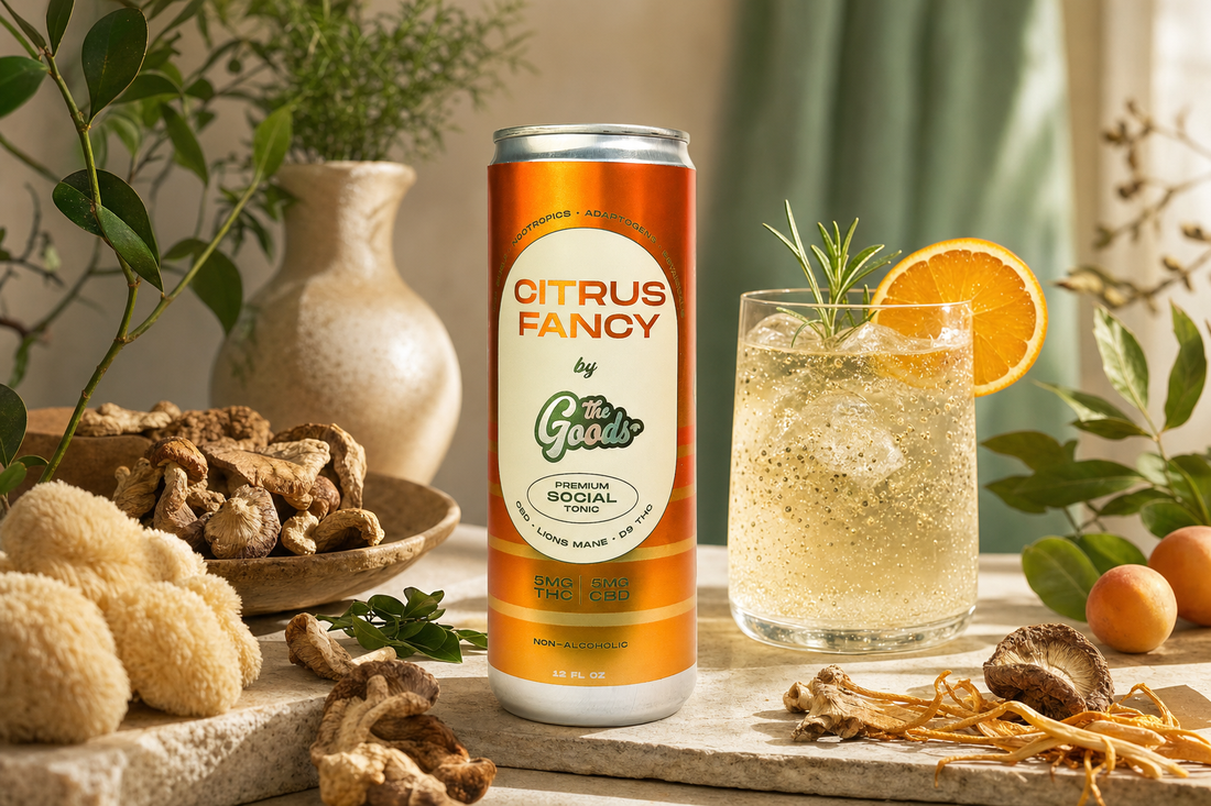 Citrus Fancy THC social tonic can beside a sparkling drink with orange and rosemary, surrounded by dried mushrooms and greenery.