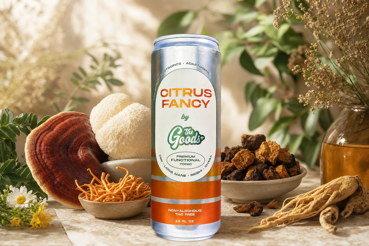 Citrus Fancy functional tonic can surrounded by reishi, lion's mane, chaga, cordyceps mushrooms and ginseng root.
