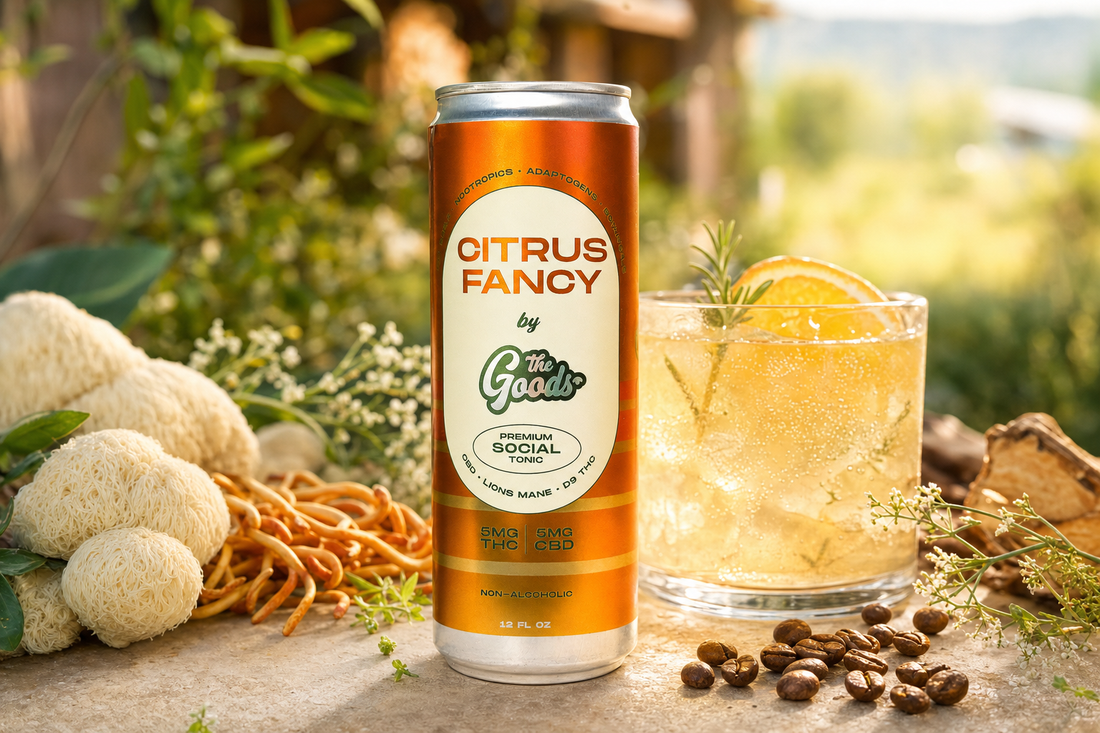 Citrus Fancy tonic can beside a garnished cocktail, lion's mane mushrooms and coffee beans in greenery.