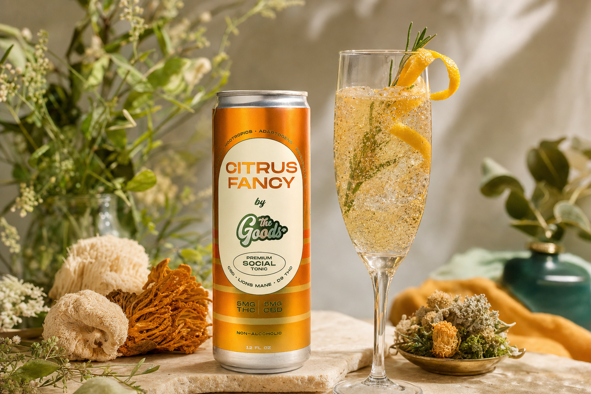 Orange Citrus Fancy tonic can beside a sparkling champagne flute garnished with orange peel and rosemary, amid dried botanicals.
