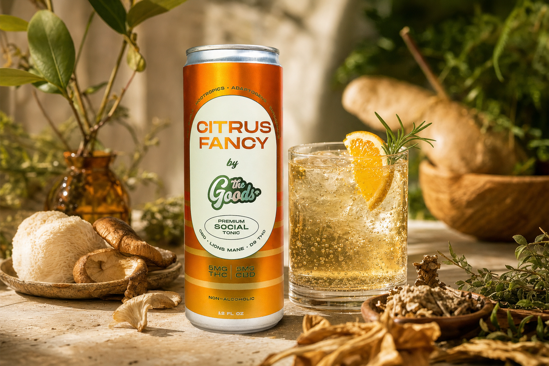 Citrus Fancy THC and CBD social tonic can beside a garnished glass, surrounded by mushrooms and herbs.