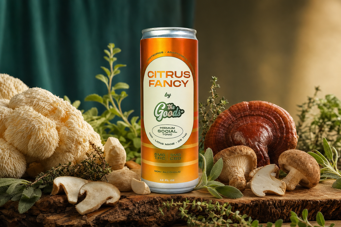 Orange "Citrus Fancy" social tonic can on wood, surrounded by lion's mane, reishi, and shiitake mushrooms with fresh herbs.