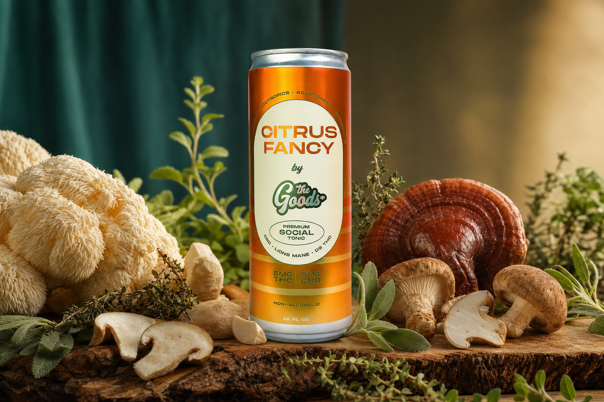 Orange "Citrus Fancy" social tonic can on wood, surrounded by lion's mane, reishi, and shiitake mushrooms with fresh herbs.