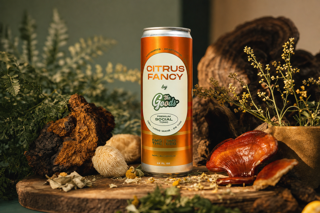 Orange "Citrus Fancy" tonic can surrounded by chaga, lion's mane and reishi mushrooms, ferns and dried flowers.