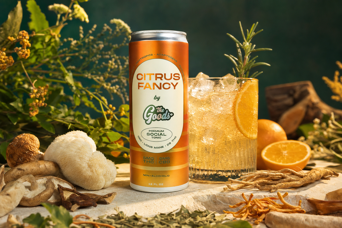 Citrus Fancy social tonic can beside an iced orange drink, surrounded by mushrooms, herbs, and botanicals.