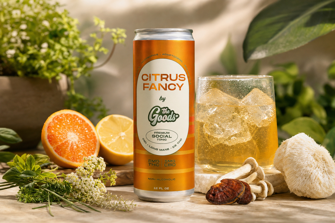 Citrus Fancy THC and CBD social tonic can beside a glass of iced drink, citrus halves, herbs, and mushrooms.