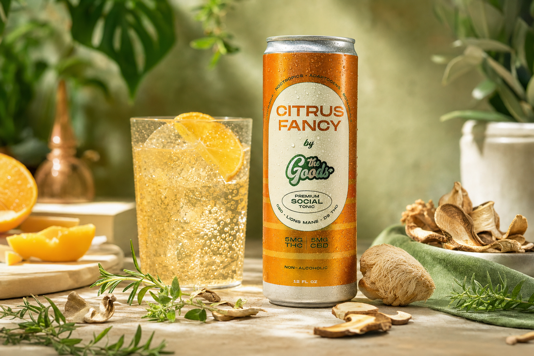 Citrus Fancy THC social tonic can beside a fizzy drink with orange slice, mushrooms, lion's mane, and herbs.