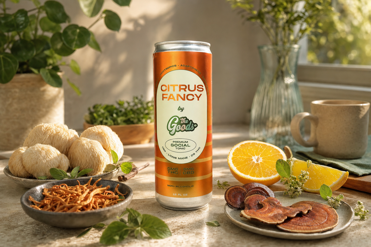 Citrus Fancy social tonic can surrounded by lion's mane, cordyceps, reishi mushrooms and citrus on a sunlit counter.