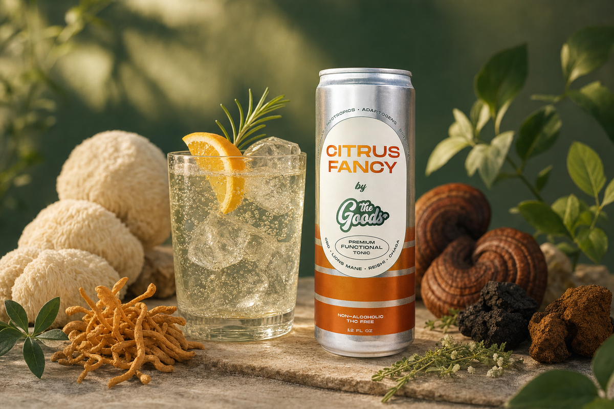 Citrus Fancy functional tonic can beside a garnished iced drink, surrounded by lion's mane, reishi, and chaga mushrooms.