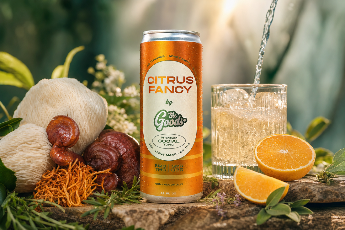 Citrus Fancy tonic can beside lion's mane, reishi and cordyceps mushrooms, oranges, and a poured drink over ice.
