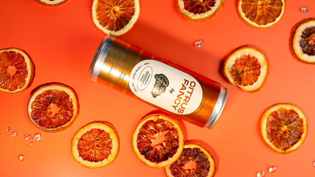 a orange can of Citrus Fancy social tonic in front of a bright orange background surrounded by dried orange slices